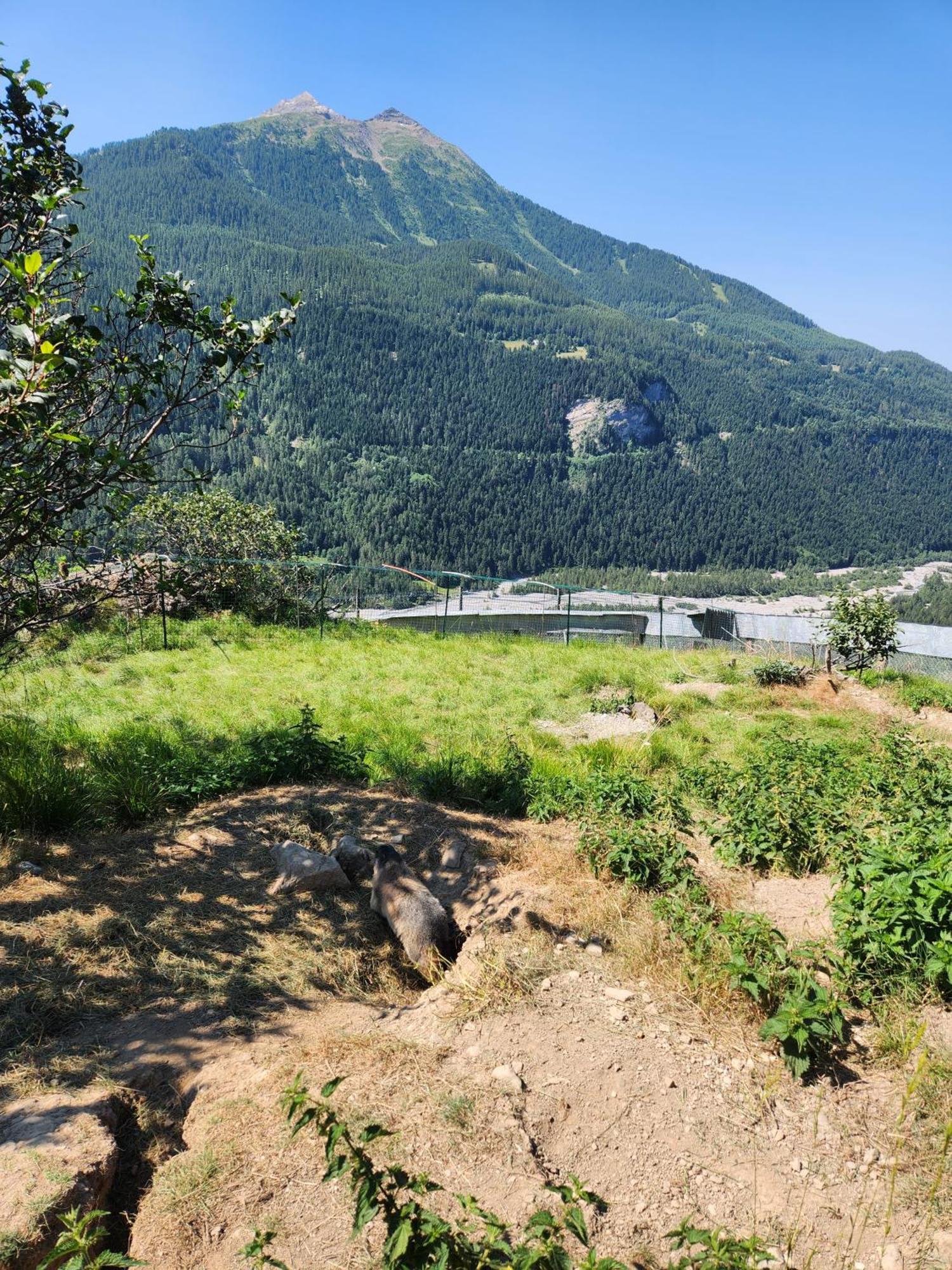 Appartement T3 Avec Jardin Proche Village Saint-Bonnet-en-Champsaur Eksteriør billede